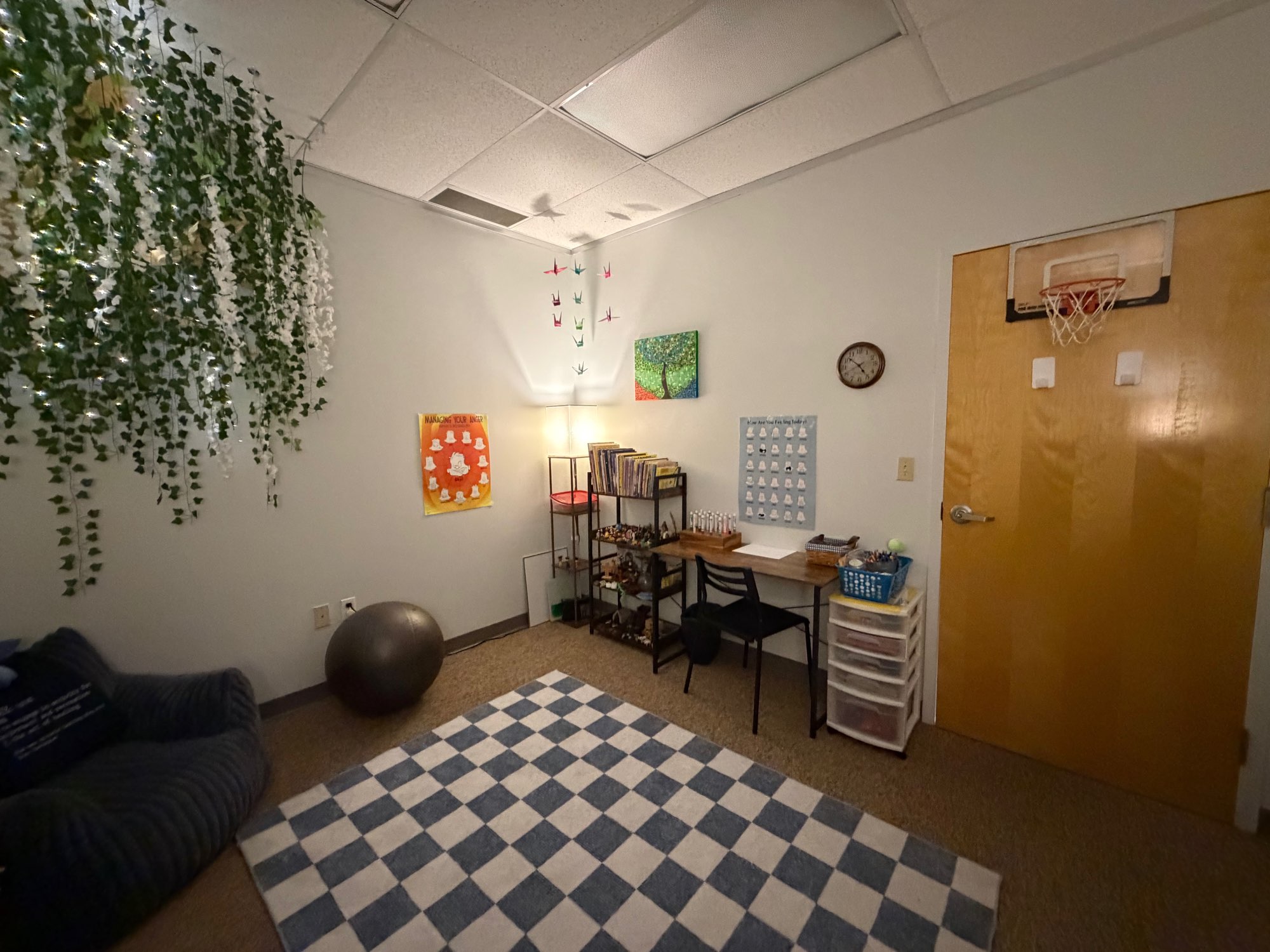 Play therapy room with a checkered rug, hanging vines, bean bag chair, art desk, and toy shelves